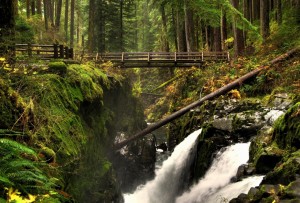 Port Angeles, Olympic National Forest, Sol Duc Falls