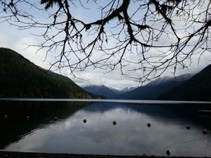 Peaceful Lake View Near Forks Washington