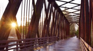 JACE Real Estate Dungeness River Railroad Bridge JACE